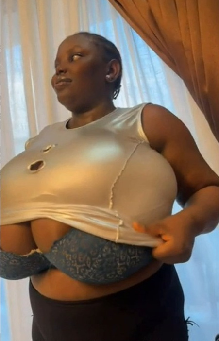 African Macromastia Tits
